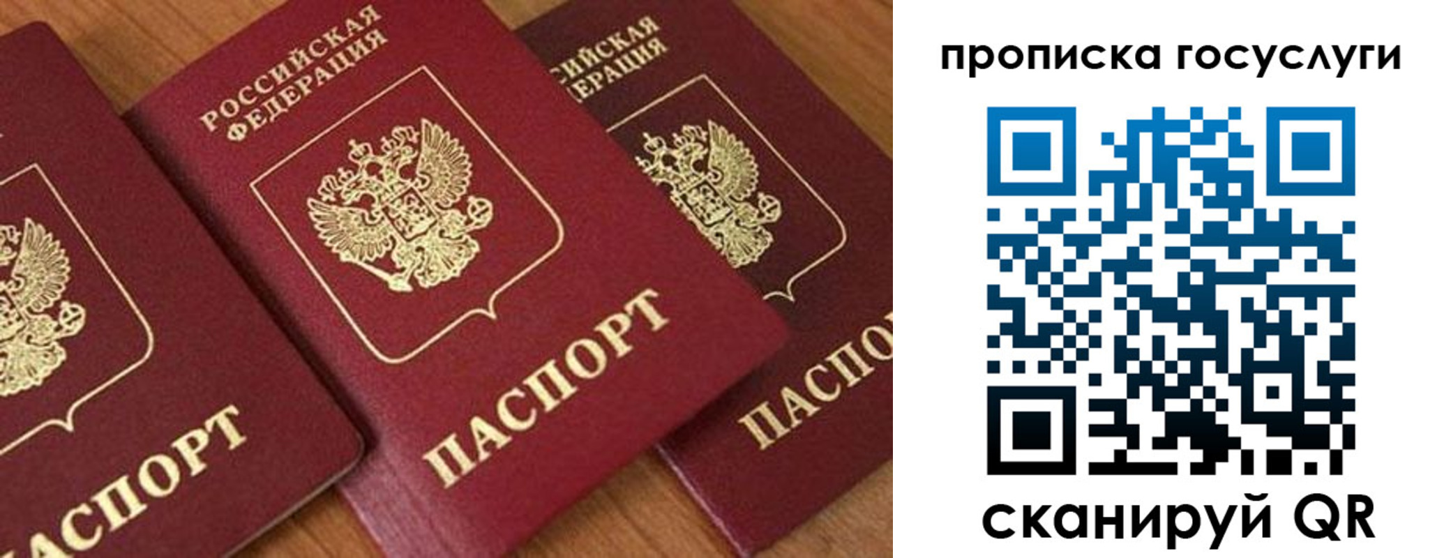 временная прописка в Козельске